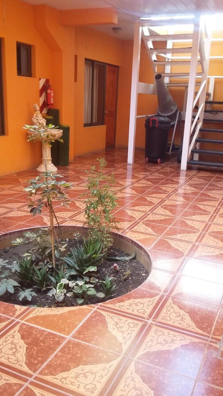 Hotel Don Alfredo Calama Dış mekan fotoğraf
